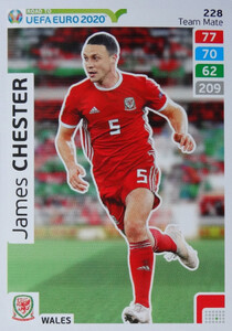 ROAD TO EURO 2020 TEAM MATE James Chester 228