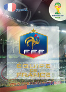 WORLD CUP BRASIL 2014 CLUB BADGE LOGO France #157