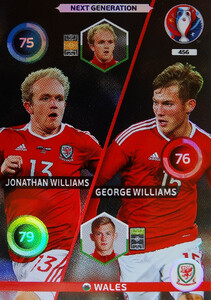 EURO 2016 NEXT GENERATION  Williams /  Williams #456